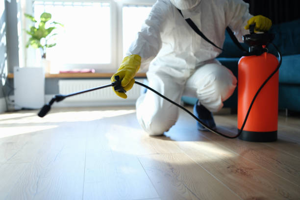 Reliable Odor Removal contractor in Beaufort, SC by Trauma Clean Pros